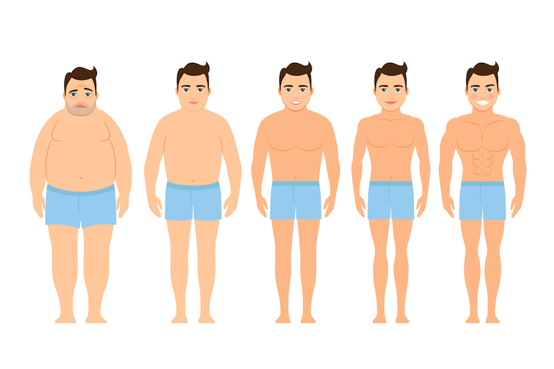 男性の体型